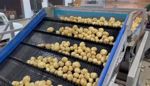 Check out our Potato Washline in action - recently shipped across international waters to Canada! 🥔💦 Our potato washing systems are built to be efficient, precise, and gentle - delivering a thorough clean every time. Potatoes enter the system over a web that removes loose soil before transferring into a SupaFlume de-stoner. From there, the crop is washed through a semi-submerged barrel washer featuring a fully rubber pintle-lined barrel and a floating debris removal system. Looking for the rig