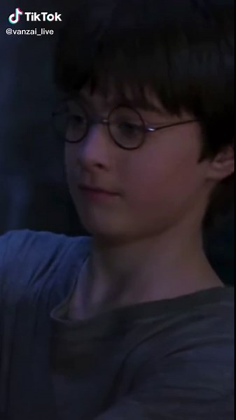 vanzai_live на TikTok