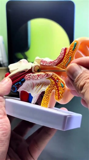 Stop Putting Your Eardrums at Risk!