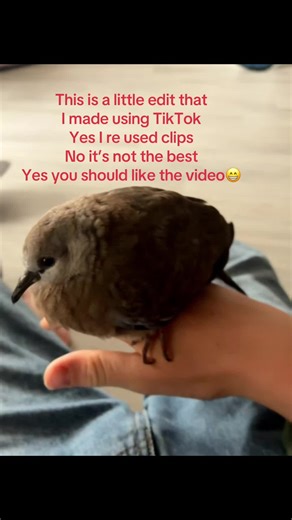 Mountain Biking Edit Compilation