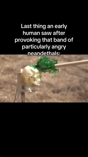 North 02 on Instagram: "Neanderthals had some deadly weapons, credit to @an.overcaffeinated.fox_ #history #archaeology #science #ancienthistory"