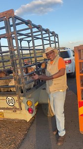 184K views · 4.8K reactions | A happy client indeed…thank you Mr Lore for trusting us Boitumelo jo bo golo tota Engage with us Cross dorper sheep Cross Boer goat Savanna Call 77327225 or 72658844 | Sekhani FARMS | Facebook