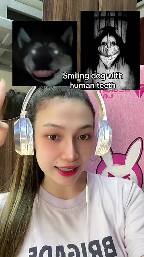 Story of SMILE DOG 👻🐶 #horror #scarystories #scary #horrortok #tineloresto [Urban Legend only, not real] #eggyparty #eggy4u #eggyentertainment