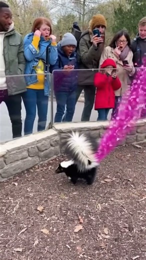 Pink Explosion from a Skunk?! 💀🎉