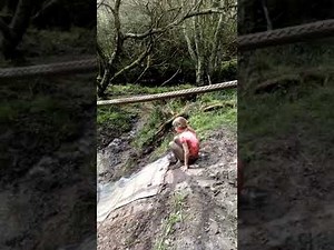 Dorset Mud Trail Part 2...Waterpark Fun 😊☺️🐇👍😜