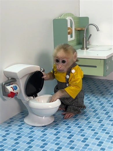 What happens when Xuka forgets to wash her hands after using the toilet 🚽🐒