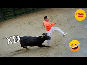 Try Not To Laugh 🤣 Top 100 Funniest Videos Ever 😂 | Funny Videos Compilation 2025 #538