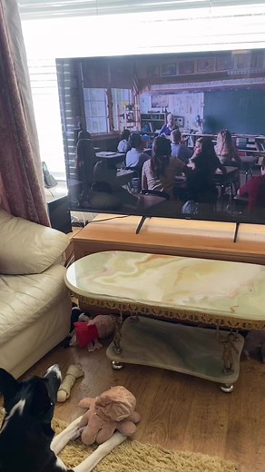 Barney watching Hachi trailer | Stephen Kelleher