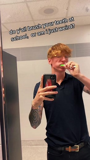 Brushing Teeth at School: A Common Habit?