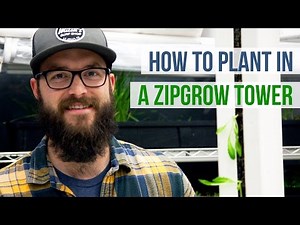 How to Plant in a ZipGrow™ Tower