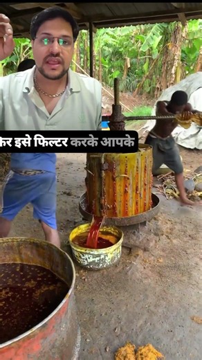 reality of plam oil | food expose plam oil making