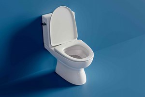 Should you close the toilet lid before flushing? Here's what experts say