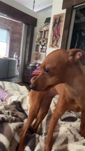 She is like if lily and rose were one evil creature