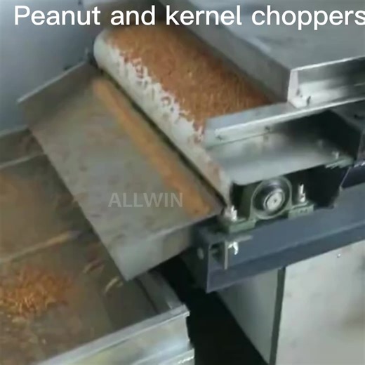 Commercial Automatic Walnut Peanut Cashew Chopper Cutter Crusher Machine Cutting Sieving Nuts Machine