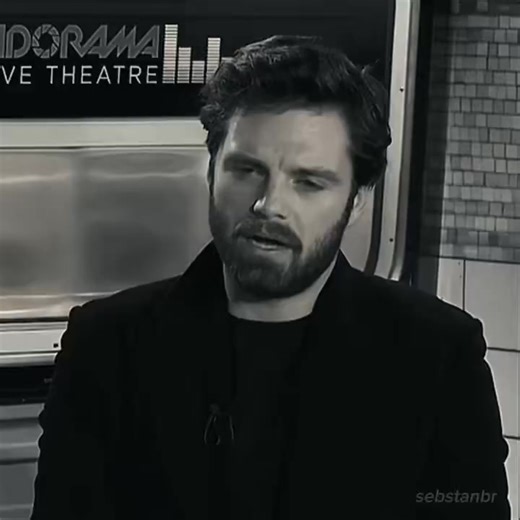 #SEBASTIANSTAN: The Winner Takes It All. A Year in Review 2025. . . . . #sebastianstan #sebastianstanfan #sebbystan #fyp