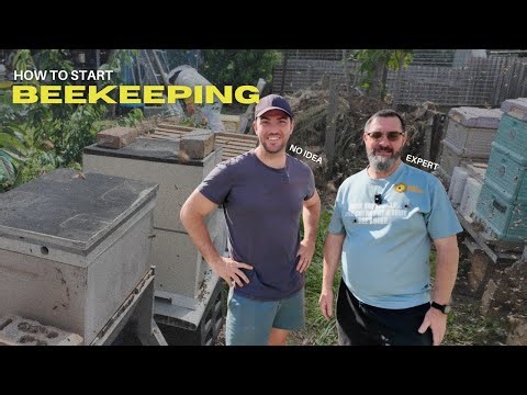 I Tried BEEKEEPING So You Don’t Have To