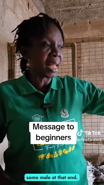 Beginner's Guide to Starting a Turkey Farm