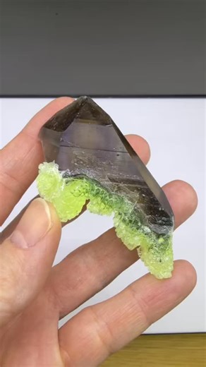 www.SpiriferMinerals.com on Instagram: "Opal var. hyalite and smoky quartz UV fluorescent! Erongo, Namibia Size: 7 cm Price: $180 (+shipping fee). No: 13111 We ship worldwide. Please DM to claim or get more details. To see more of our minerals visit www.SpiriferMinerals.com #spiriferminerals #spirifer #mineralcollecting #mineralspecimen #mineralcollection #rockhounding #rockhound #minerals #mineral #rocks #rock #fineminerals #hyalite #opal #erongo #mineralogy #geology #nature #smokyquartz #quart