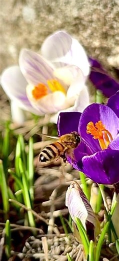 When things looks bleak, stop and enjoy something simple and real for a sec