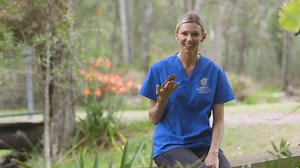 145K views · 24 reactions | Do you know how to help injured wildlife in a bushfire emergency? Watch our Protecting Animals in Bushfires training video to help be better prepared for the next bushfire season. Be bushfire prepared. Watch our free training video. | World Animal Protection Australia | Facebook