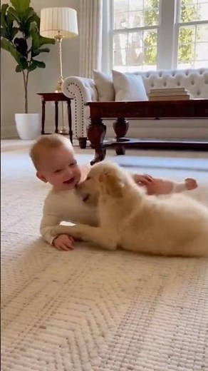 This Baby & Puppy Rolling Moment Deserves A Million Views