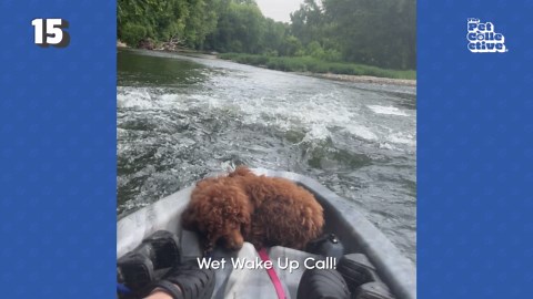 The Top 15 Fails of August 2023