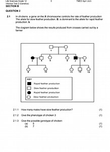 Life Sciences Grade 125TMED April 2025Informal Test 2 (Genet... | Filo