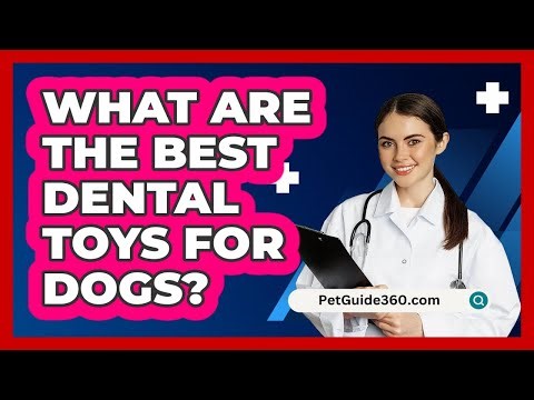 What Are the Best Dental Toys for Dogs?