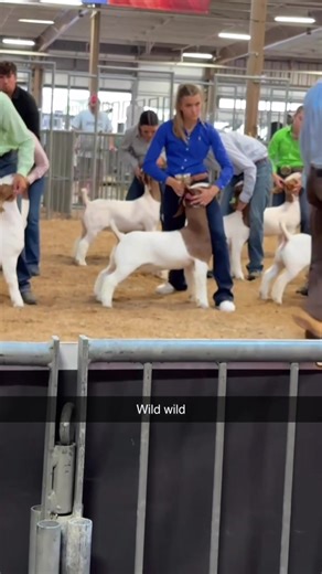Best Goat Showman Award Winner