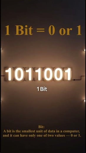 Everything Runs on 0 and 1?! 🤯 | Binary Explained | DAY4