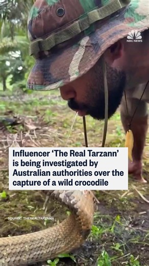 Australian authorities said that they were investigating videos a U.S. influencer posted online that show him capturing and restraining wild crocodiles in the state of Queensland. | NBC News