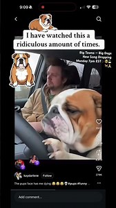 Big Dogs New Music Dropping Monday 7pm EST 🎵🎹🎤☀️🐕🏝️🎶🙏