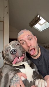 23K views · 2.1K reactions | Dicono che i cani assomigliano ai "padroni" è vero?!殺❤️ #baby #fypage #fundog #americanbully #foryou #doglovers #bully #bullyuk #funny #fyp #viral #2025 #doggo #cutedog #puppy #reels #babygirl #fypシ #MASSIeMINO #dog | G00D View | Facebook