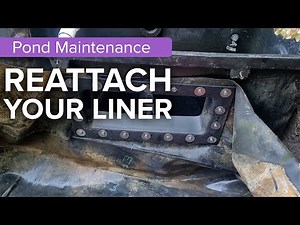 How to Reattach Pond Liner to Skimmer Box (Pond Maintenance 2022)
