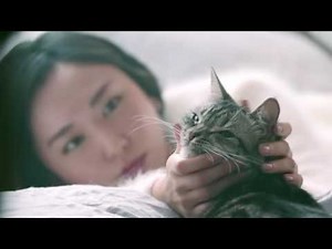 新垣 結衣・雪肌精「しっとりタイプの雪肌精」篇（CM・メイキング）