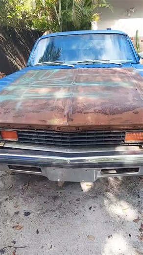 novachick73 (@novachick73)’s videos with Low Rider - El Loco