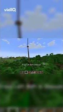 Soar Through the Skies on Your Dragon! 🤩