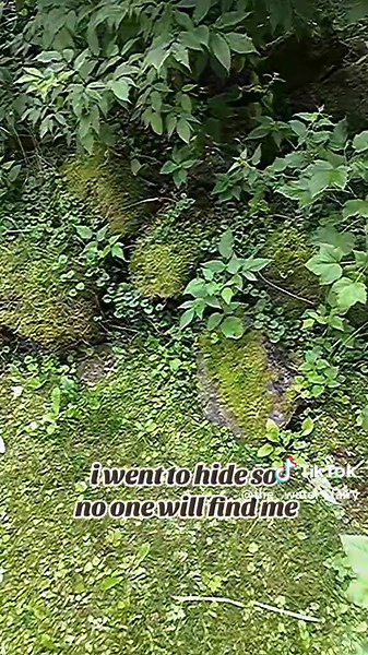 hope they wont find me... #fairy #fairytok #rp #fairyhunters #hunters