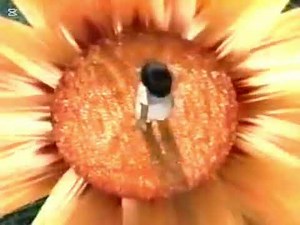 Paramount/Nickelodeon (2000)