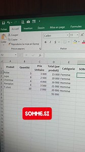 Fonction Somme.Si dans Excel Astuces Excel #exel #everyone #fblifestyle #formation #france #Lifestyle #latenighttv #relatablecontent #selfhelp | Mon Fiscaliste