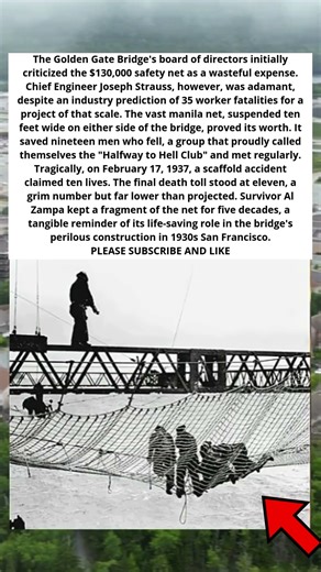 THE ENGINEER’S NET FOR LIFE'S 🛡️🌉