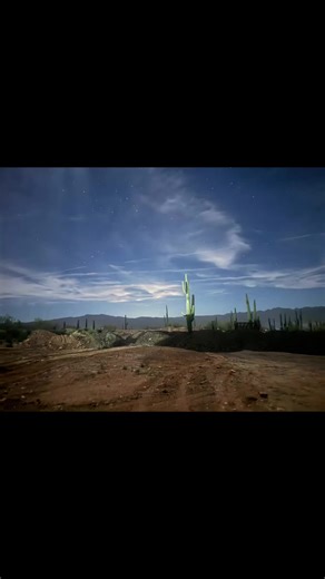 Jodie Bushnell (@jodiebushnell2)’s videos with Bonfire Nights - Diverse Decibels