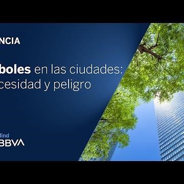 Árboles en las ciudades: necesidad y peligro | Píldoras de ciencia
