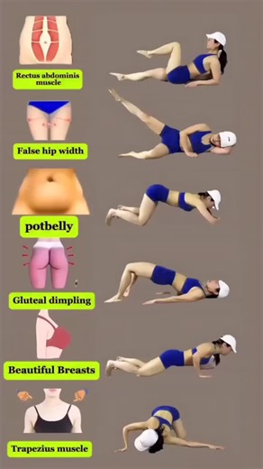 Women fitness | Home workout on Instagram: "“Target the right muscles, not shortcuts 🔥 Flat belly, shaped hips & strong core — all in one routine 💪 No gym. Just consistency ✨” #homeworkout #bellyfatloss #falsehips #gluteworkout #coreworkout womenfitness fitathome bodyshaping"