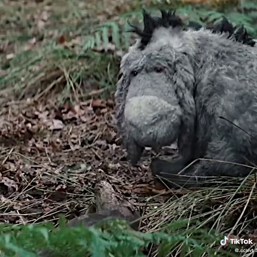 eeyore is one of the most relatable disney characters🤠 #christopherrobin #edit #disneyplus #eeyore #winniethepooh #piglet #tigger #capcut #videostar #foryou #fyp