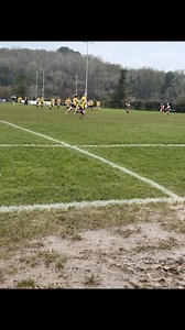 5.9K views · 90 reactions | Elf Update – Day 20 Powered by Trees and...