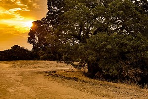 Stunning Vistas and Wildlife: Contra Costa County Photos of the Week