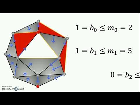 A Youtuber's guide to discrete Morse theory [Nick Scoville]