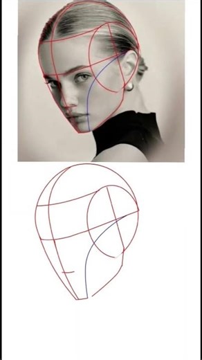 Learn sketching through Loomis method #portraitnews