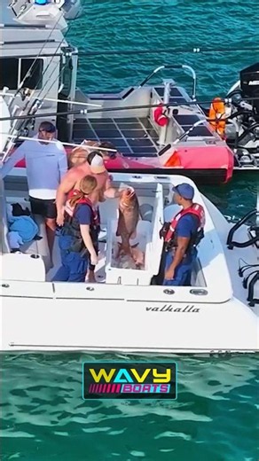 Coast Guard checks the cooler at Haulover Inlet | Wavy Boats
